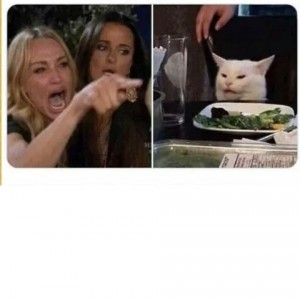 Create meme: the meme with the cat and the girls, meme with a cat and two women, meme the cat and the women