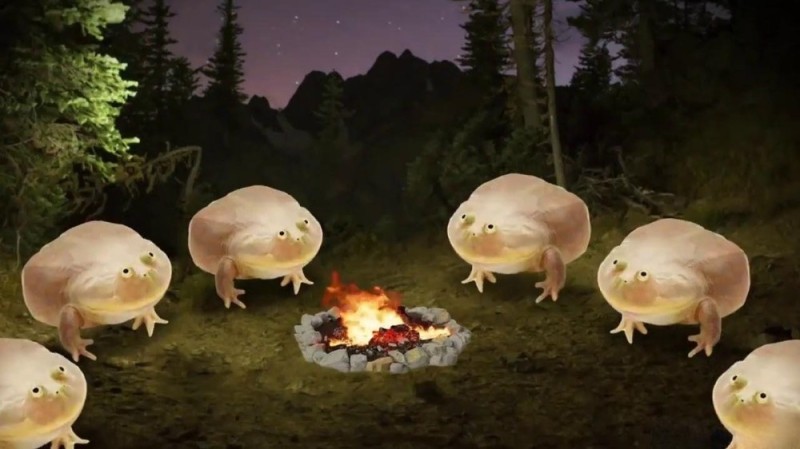 Create meme: frog its wednesday my dudes, memes toad, frogs