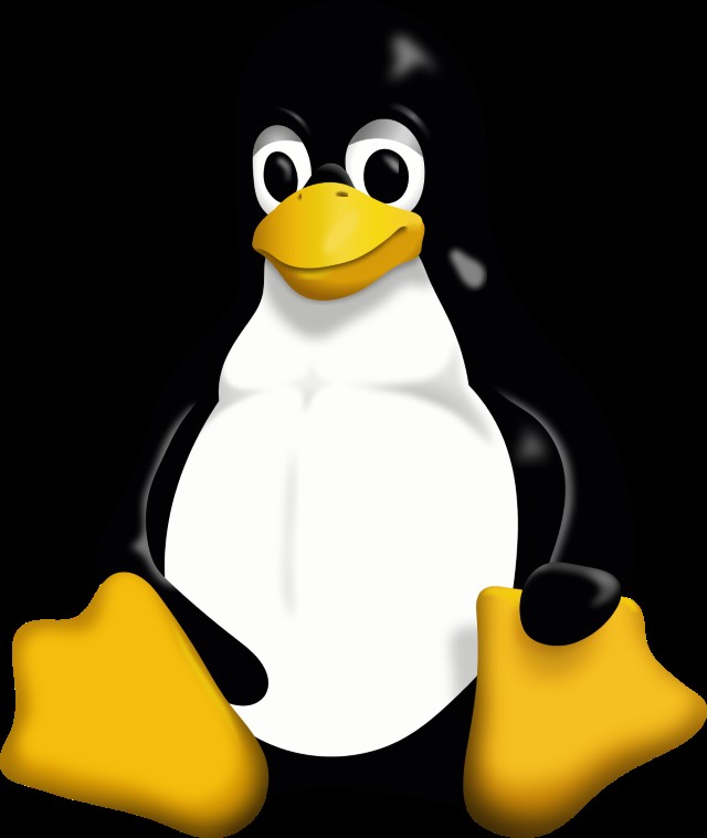 Создать мем: linux penguin, linux tux, пингвин линукс