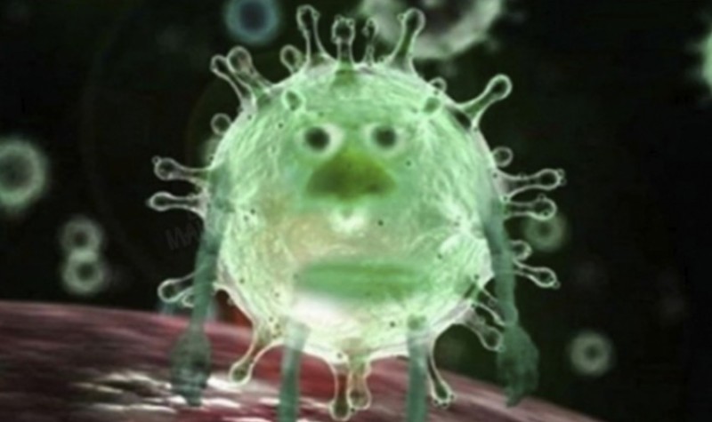 Create meme: coronaviruses, covid 19 virus, coronavirus