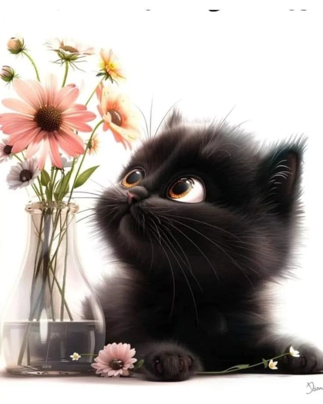 Create meme: the kitten is black, cat , Since March 8, the cat