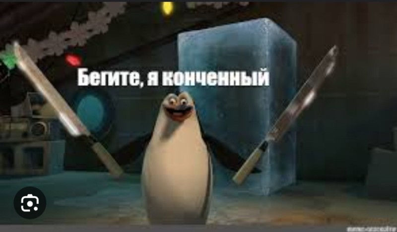 Create meme: penguin from Madagascar, meme I'm finished run penguin rico, Run I'm a finished penguin