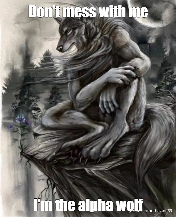 Create Meme Werewolf Art Werewolf Furry Werewolf Pictures Meme 