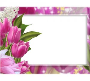 Create meme: frame with flowers for photoshop, tulips, tulips flowers