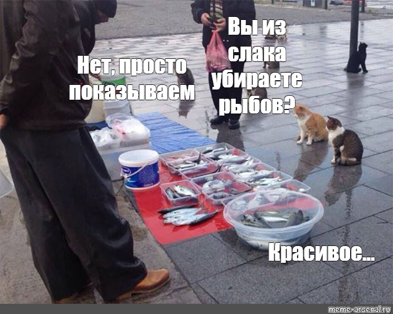 Уберите рыбу. Хомячок рыбка Мем. Уберите рыбу отодвинься. Selfish.... Fish Мем.