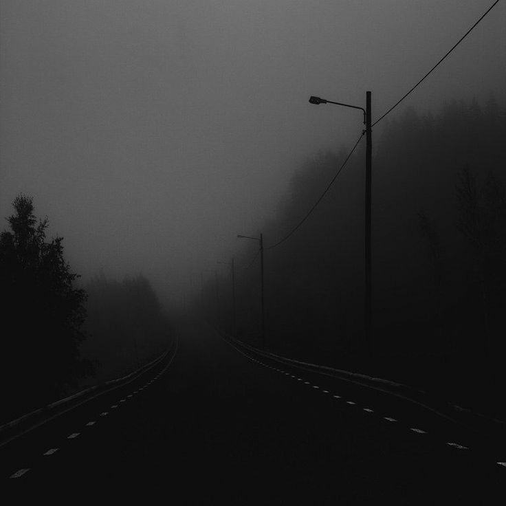 Create meme: darkness, fog road, the landscape is gloomy