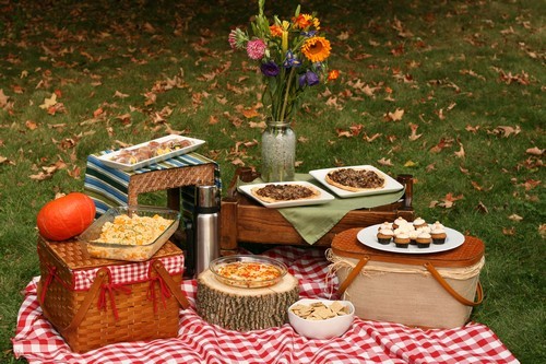 Create meme: picnic, beautiful picnic, picnic