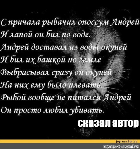 С причала рыбачил. С причала рыбачил опоссум Андрей. Стих про Андрея. Рыбачил опоссум Андрей. Стих про опоссума.