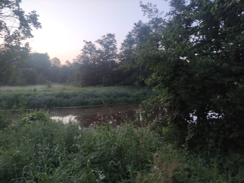 Create meme: the river of grass, Mari lugovaya village Mari el, The edge of lakes