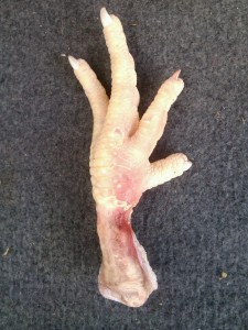 Create meme: chicken paw, chicken legs