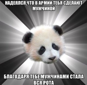 Создать мем: панды, panda, панда