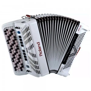 Create meme: accordion on a transparent background png, accordion on white background, Bayan