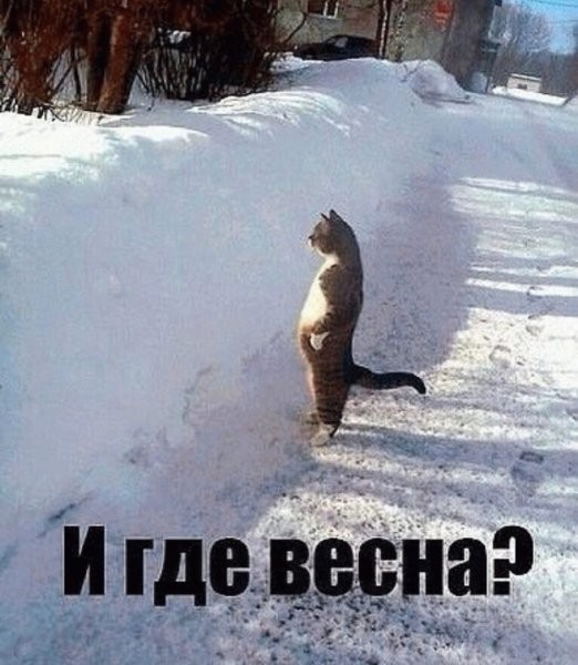 Create meme: where is spring, I want spring, spring where are you