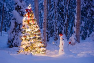 Создать мем: christmas tree, елка гирлянда, snowman