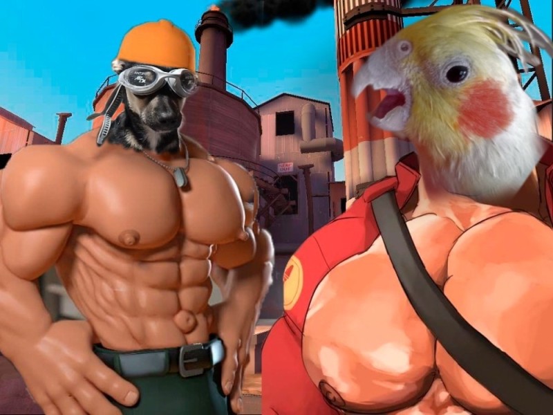 Create meme: mge brother tf2, Tim Fortress 2 jocks meme, tim fortress 2 pitching