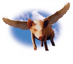 Create meme: pig with wings, flying pig