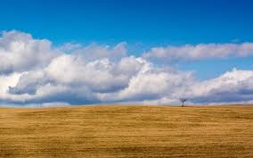 Create meme: nature field , field meadow, sky field