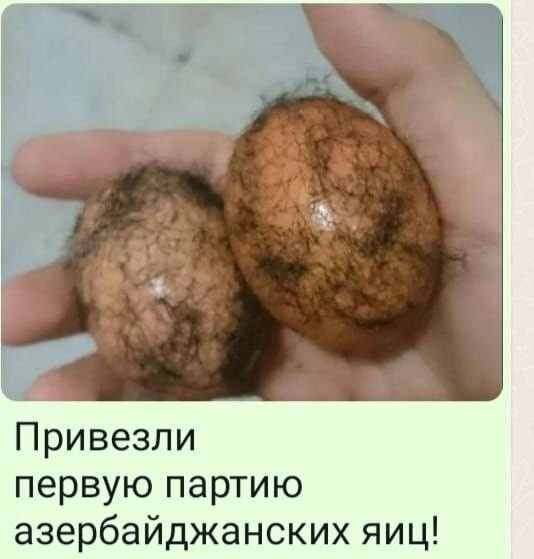 Create meme: walnut varieties, nut fruit, egg 