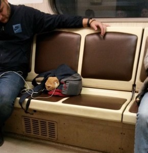 Create meme: sleeping in the train funny photo, drunk in the subway picture, sleeping in the subway photos