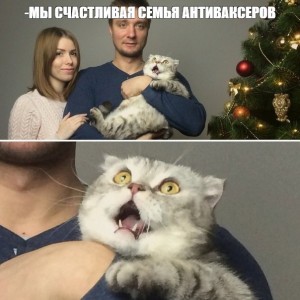 Create meme: cat, cats, funny cats