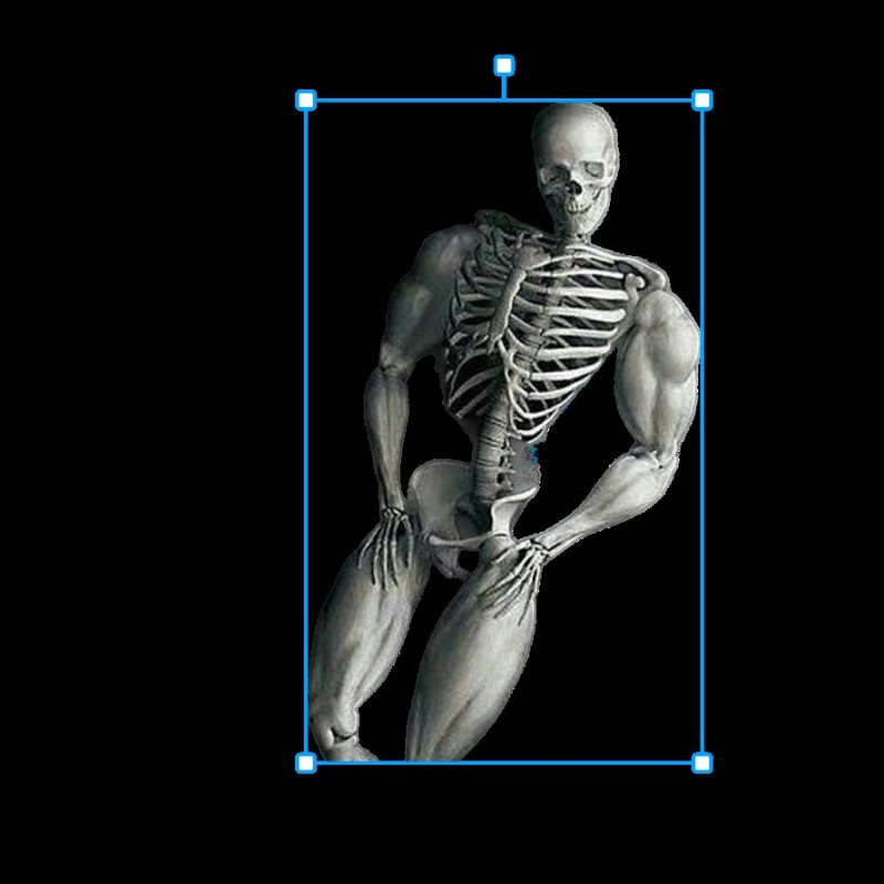 Создать мем: анатомия мышц, скелет качок, скелет качка и обычного человека