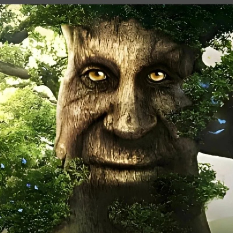 Create meme: wise mysterious tree, meme tree, the mystical tree