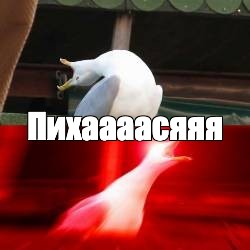 Создать мем: null