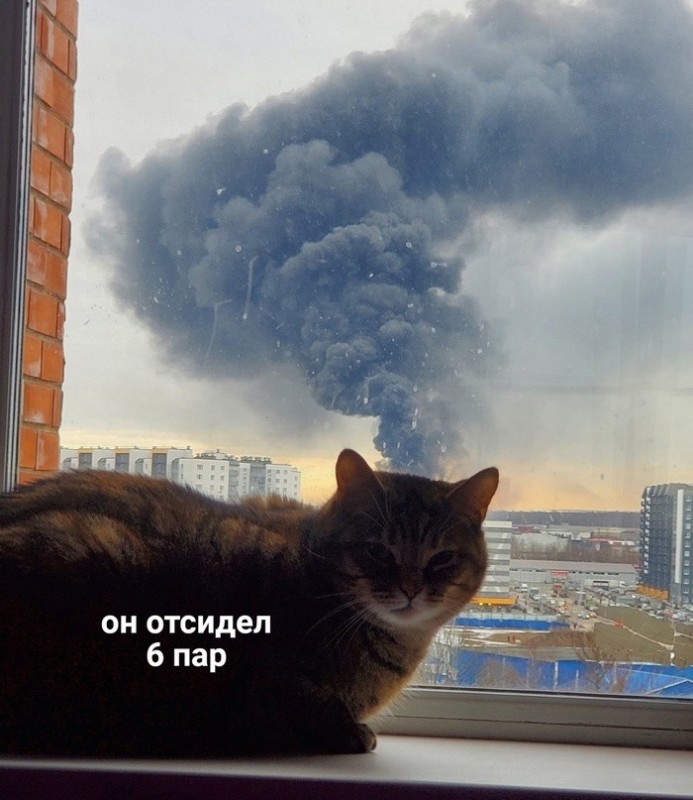 Create meme: cat , smoke fire, the explosion of the building