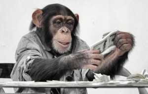Create meme: chimpanzees, monkey, chimp