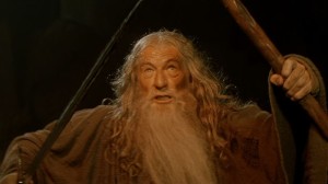 Create meme: Gandalf the Lord of the rings, Gandalf , Gandalf run you fools