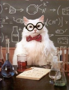 Create meme: Cat scientist