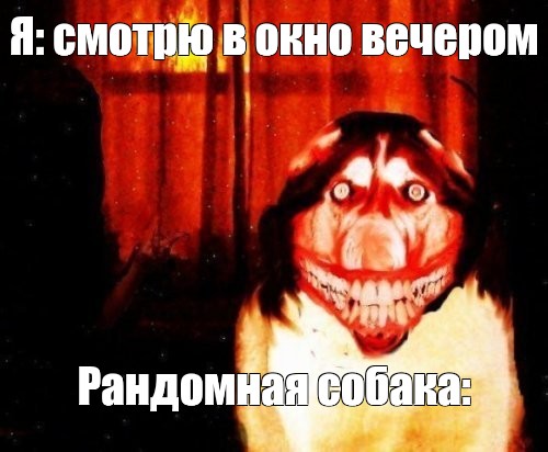 Мем: Я: смотрю в окно вечером Рандомная собака: - Все шаблоны - Meme