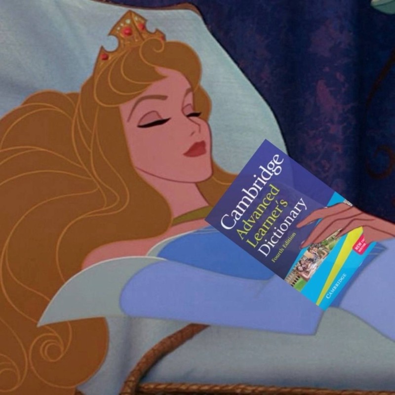 Create meme: disney sleeping beauty, sleeping beauty 1959 aurora, sleeping beauty 