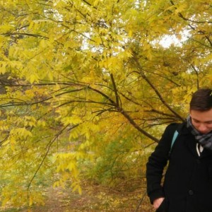 Create meme: foliage autumn, yellow foliage, people