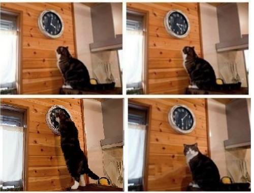 Create meme: meme the cat and the clock time, the cat looks at his watch meme, meme with a cat and a clock