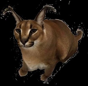 Create meme: Caracal