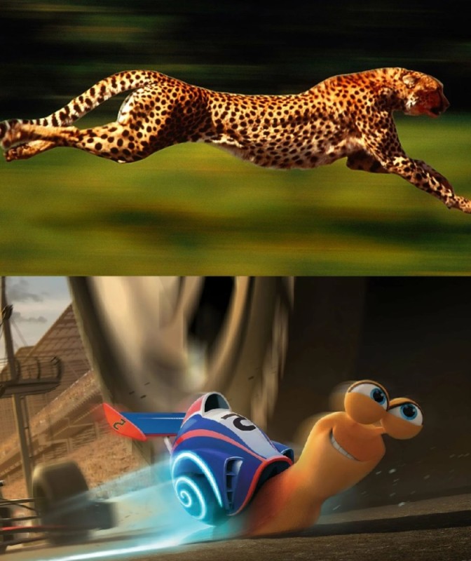 Create meme: Cheetah , cheetah presentation, race 