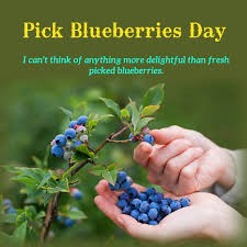 Create meme: blueberry garden, blueberries, blueberries blueberries