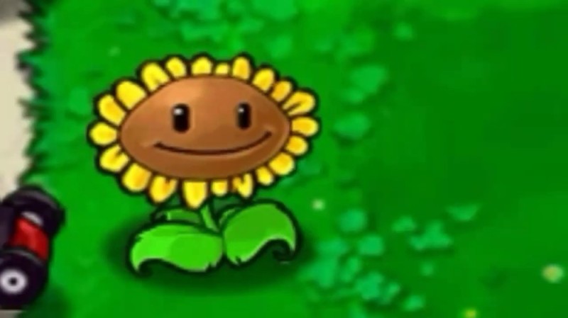 Create meme: plants vs zombies 2 sunflower, sunflower from the game plants vs zombies, sunflower plants vs zombies 1