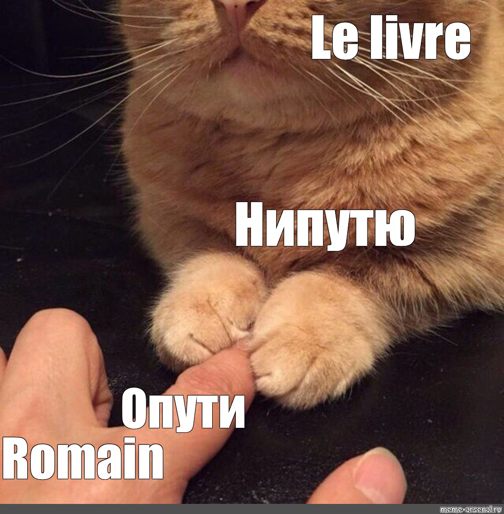 Le meme la meme. Опути нипутю. НЕПУТЮ Мем. Мем опути не опутю. Le, Мем.