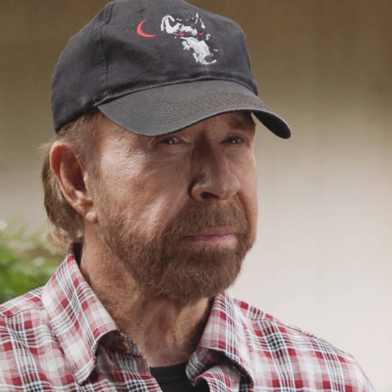 Create meme: Chuck Norris , Chuck Norris now, chuck norris look a like