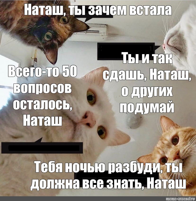 Наташа ты где картинки