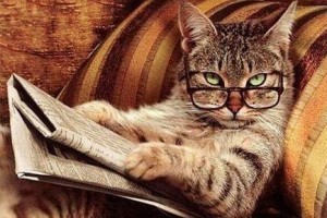 Create meme: cat scientist, smart cat