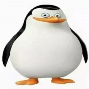 Create meme: the penguins of Madagascar private, the penguins of Madagascar Rico, the penguins of Madagascar