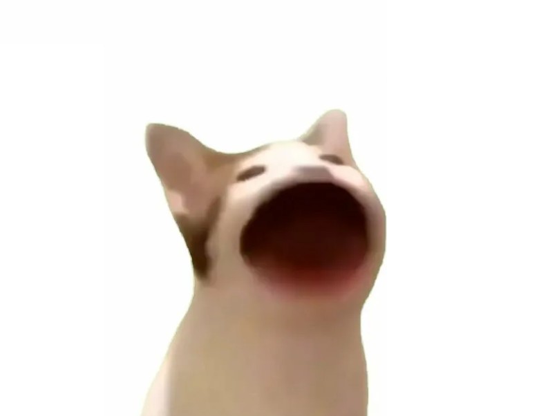 Create meme: The cat from the meme with its mouth open, the cat who opens his mouth, cat with open mouth meme