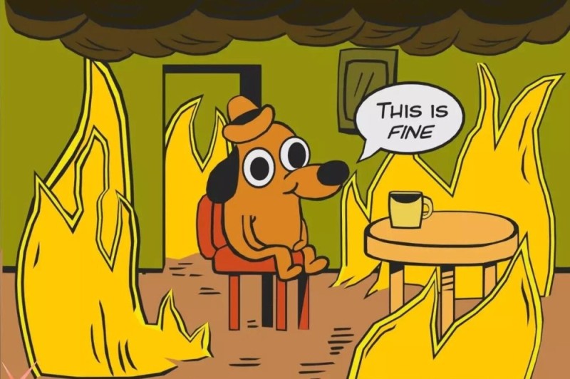 Create meme: dog in the burning house meme, meme dog in a burning house, A dog in a burning house