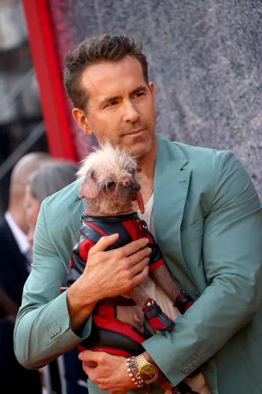 Create meme: reynolds, actor ryan reynolds, Ryan Reynolds and Hugh Jackman