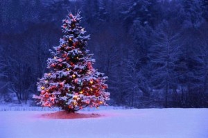 Create meme: happy new year, snow Christmas, natal