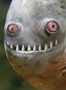 Создать мем: злая рыба мем, всратая рыба, пиранья улыбается