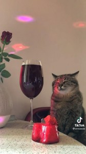 Создать мем: кот с бокалом вина мем за столом, кот степан из харькова, кот степан с вином